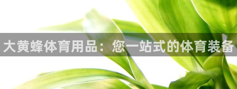 欧陆娱乐平台官网下载：大黄蜂体育用品：您一站式的体育