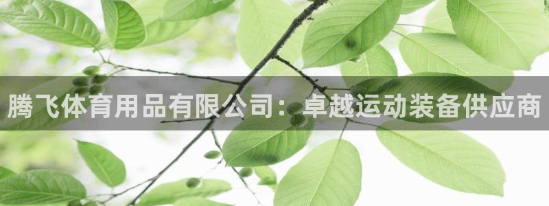 欧陆娱乐能提现嘛?：腾飞体育用品有限公司：卓越运动装