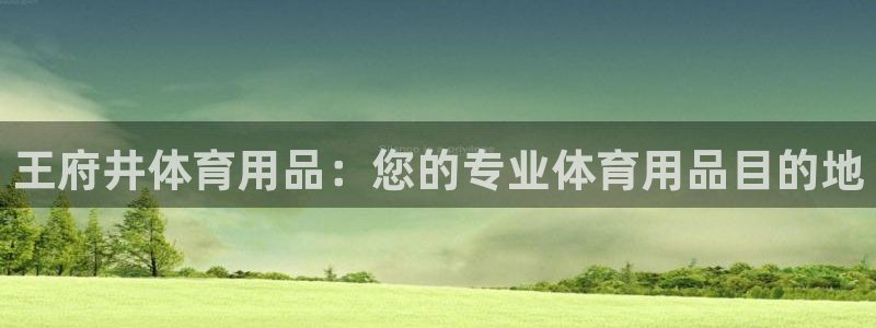 欧陆娱乐累计盈利多少就会被劝退呢知乎：王府井体育用品