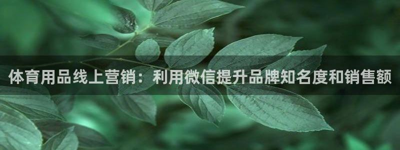 欧陆娱乐怎么注册会员：体育用品线上营销：利用微信提升